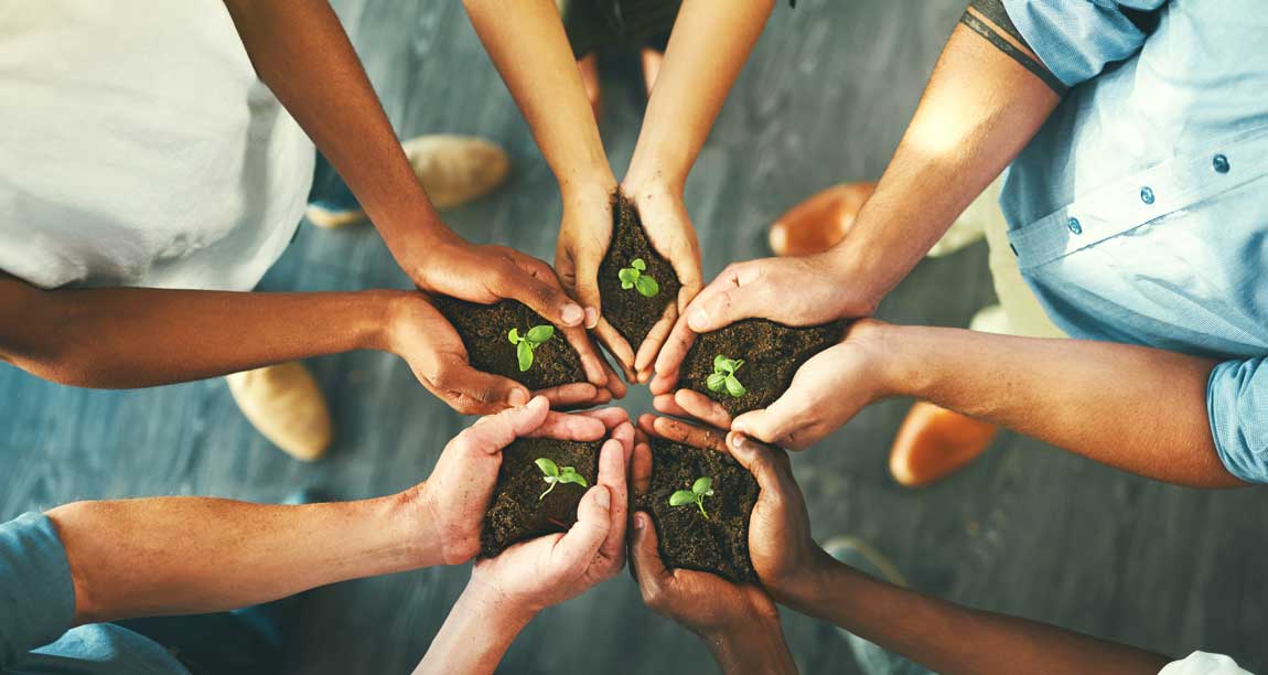 people holding plants